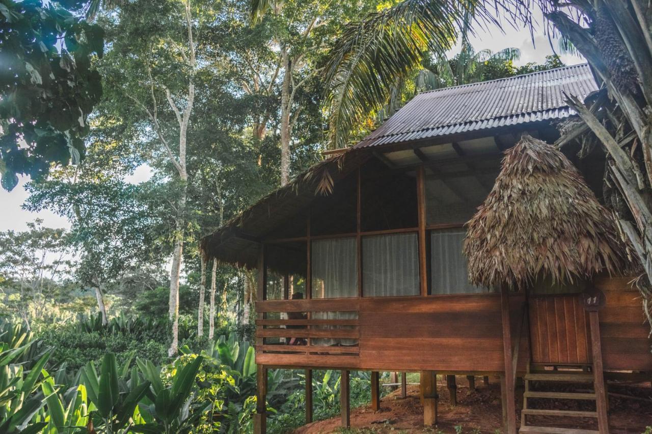 Wasai Tambopata Lodge Dış mekan fotoğraf