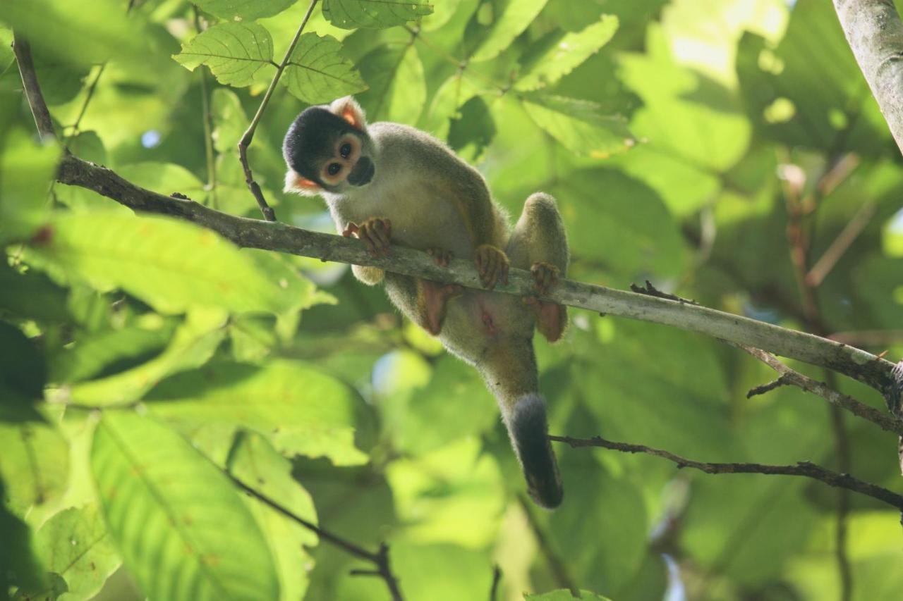 Wasai Tambopata Lodge Dış mekan fotoğraf
