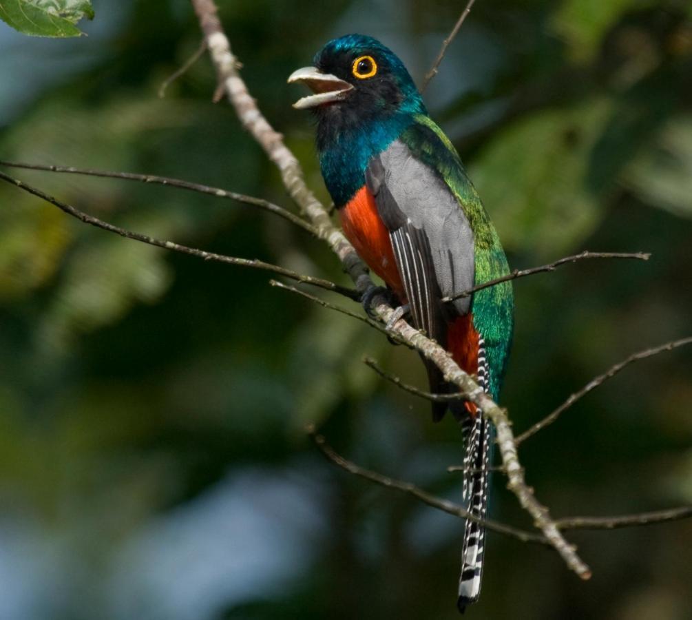 Wasai Tambopata Lodge Dış mekan fotoğraf