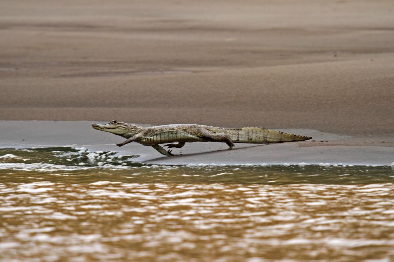 Wasai Tambopata Lodge Dış mekan fotoğraf