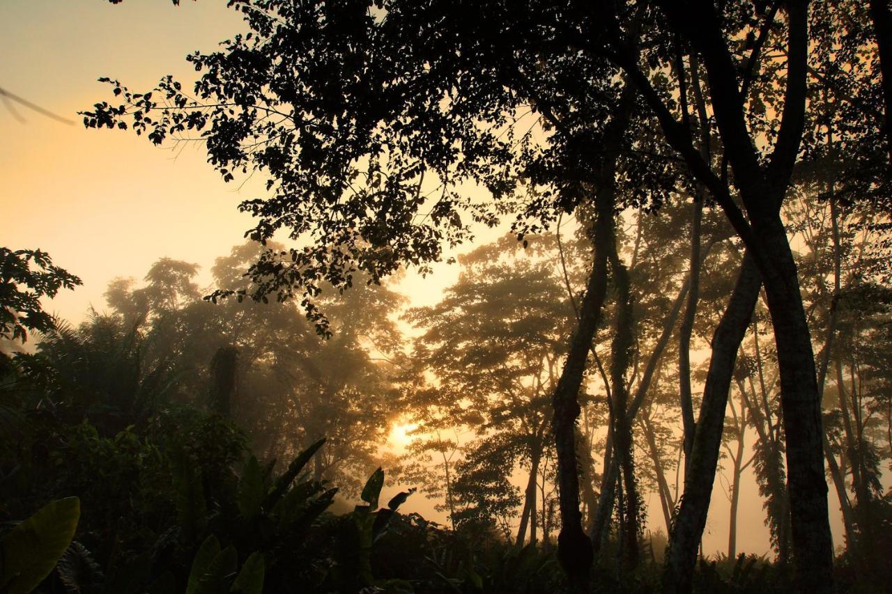 Wasai Tambopata Lodge Dış mekan fotoğraf